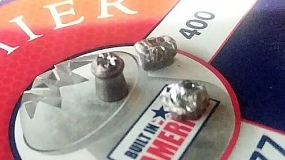 découvrez notre sélection des meilleurs plombs 4.5 mm pour lutter efficacement contre les nuisibles en 2025. performance, précision et comparatif pour un choix adapté à vos besoins.