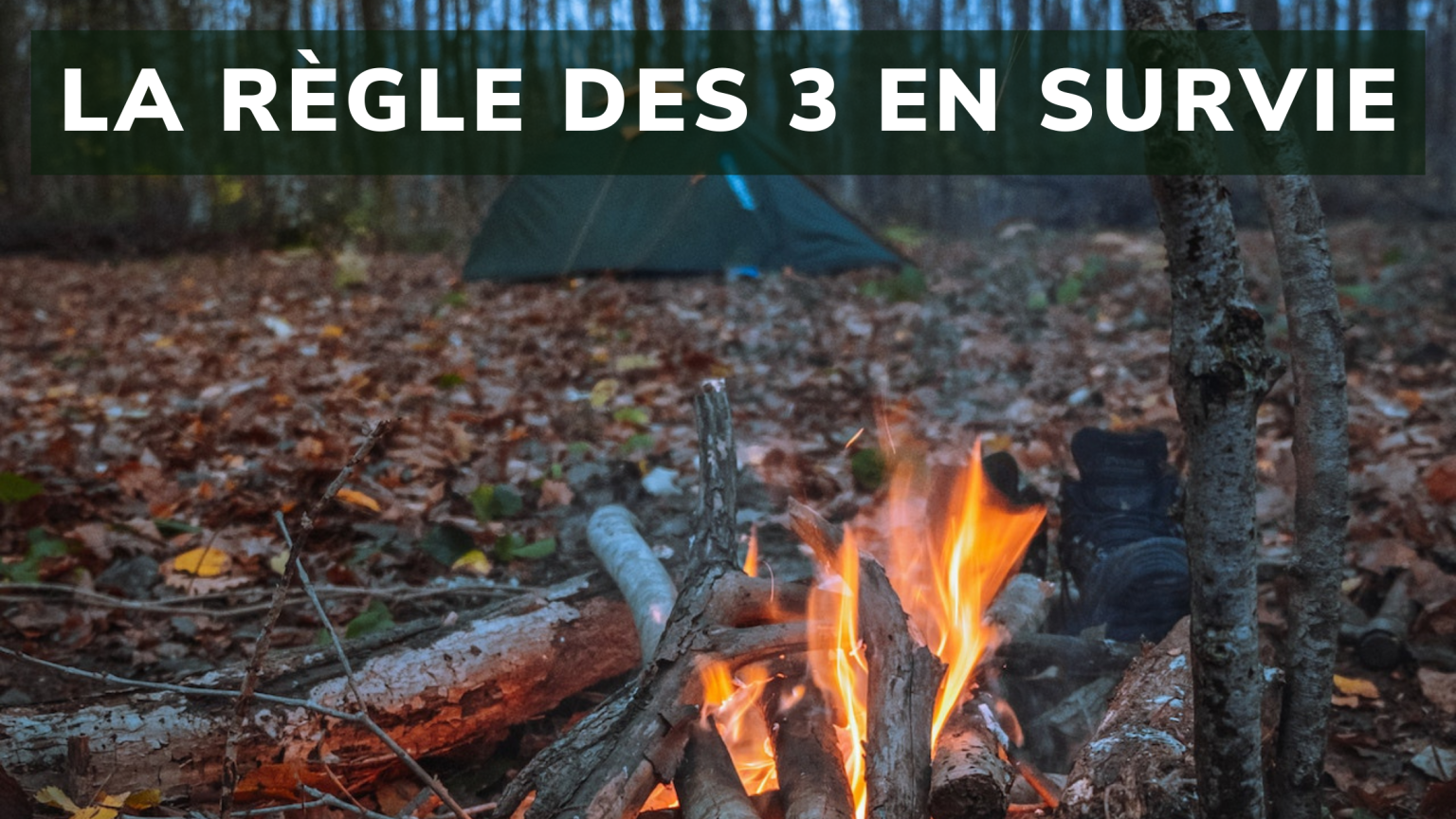 découvrez la règle 3 de survie : l'essentiel pour assurer votre sécurité et bien-être dans toutes les situations.