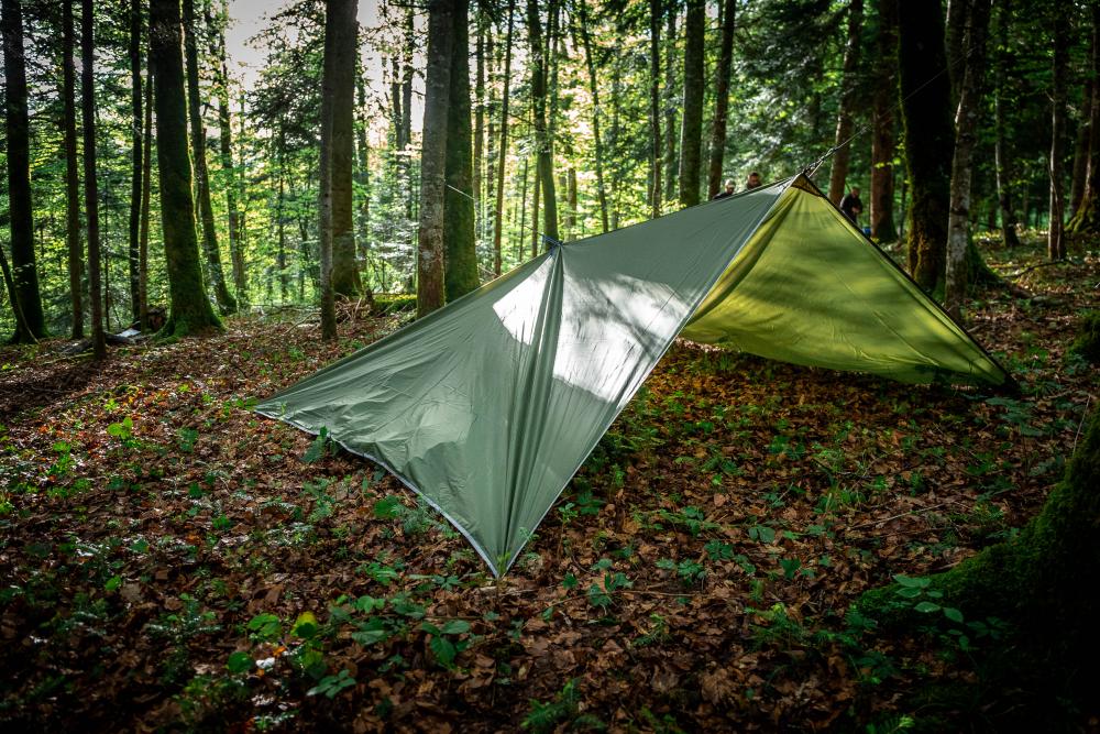 découvrez les techniques essentielles de survie en forêt pour assurer votre sécurité et votre autonomie en milieu naturel.
