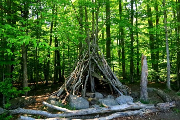 découvrez les techniques essentielles de survie en forêt pour assurer votre sécurité et votre bien-être en milieu naturel. apprenez à vous orienter, trouver de l'eau, allumer un feu et construire un abri efficacement.